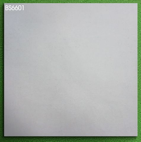 Gạch lát nền 60X60 Viglacera BS6601 mờ