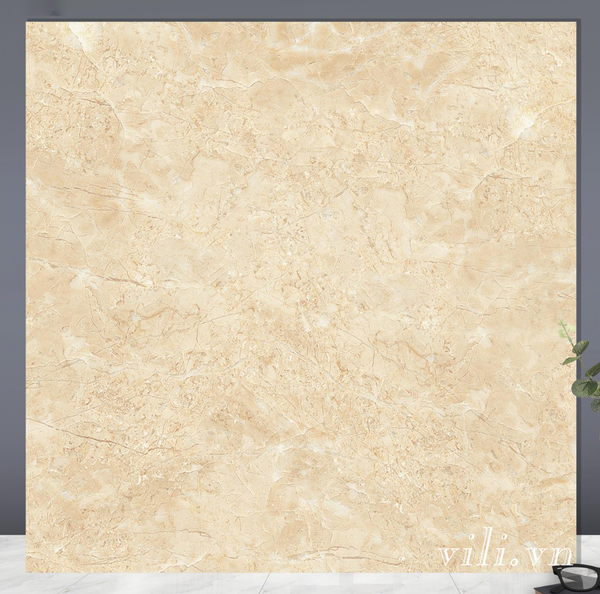 Gạch lát nền 60x60 TTC CSG66007 men nhám sugar