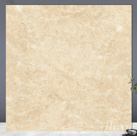 Gạch lát nền 60x60 TTC CSG66007 men nhám sugar