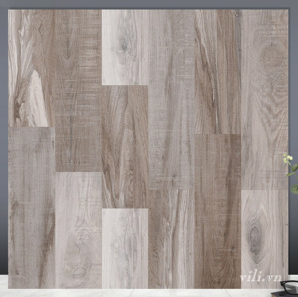 Gạch lát nền 60X60 TTC FB66203 men bóng
