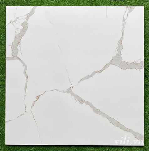 Gạch lát nền 80x80 Viglacera FL51-GP8801 đá bóng