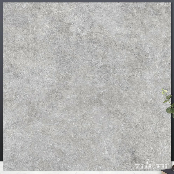 Gạch lát nền 60X60 66011 men mờ