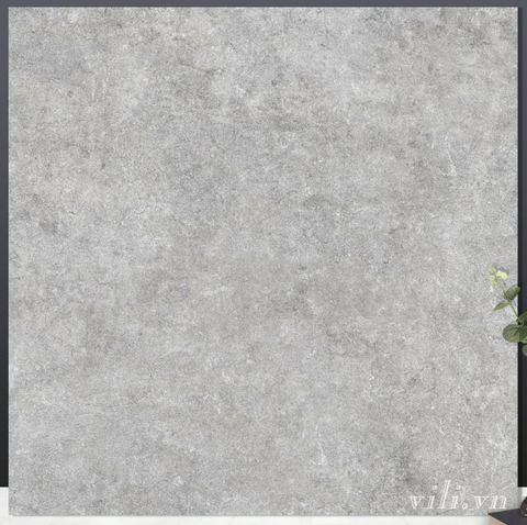 Gạch lát nền 60X60 66011 men mờ