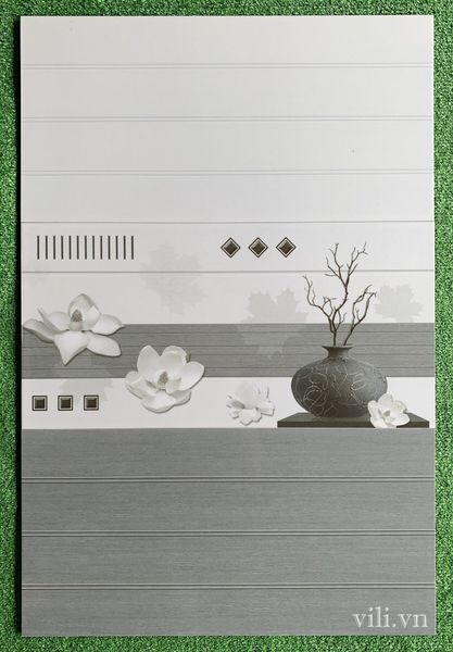 Gạch Ốp Tường 30X60  SH30602TN - SH30602D - SH30602TD men bóng