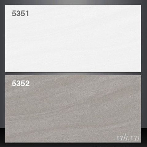 Gạch ốp tường 30X60 Tasa 5351 - 5352 đá mờ