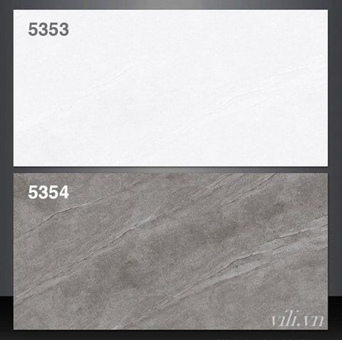 Gạch ốp tường 30X60 Tasa 5353 - 5354 đá mờ