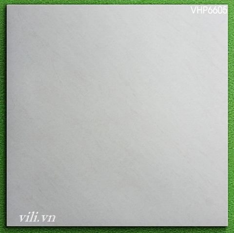 Gạch lát nền 60X60 Viglacera VHP6605 mờ