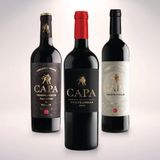 CAPA TEMPRANILLO VDT CASTILLA