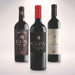 CAPA TEMPRANILLO VDT CASTILLA