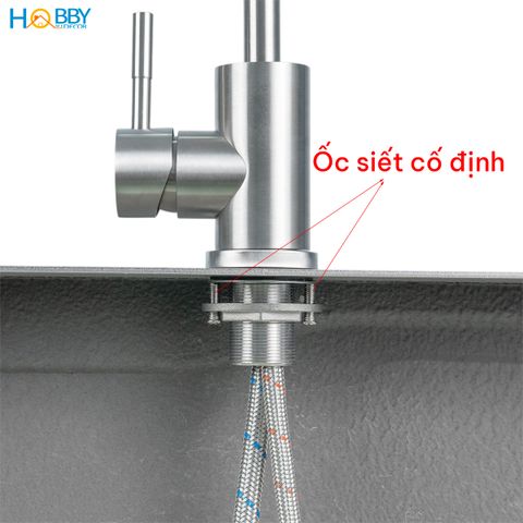 Vòi rửa chén nóng lạnh Inox 304 thân lò xo cong Hobby home decor LXNL1