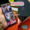 mieng-dan-man-hinh-polime-uv-ppf-uv-zacase-khang-khuan-cao-cap-danh-cho-oneplus-11-5g