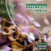 mieng-dan-cuong-luc-camera-trong-suot-bao-ve-realme-gt5-pro-5g