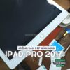 mieng-dan-ppf-hydorgen-man-hinh-ipad-pro-2017-trong-nham-cao-cap