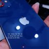 mieng-dan-ppf-hydorgen-mat-lung-full-vien-iphone-14-pro-max-14-pro-14-plus-14-13-pro-max-13-pro-13-mini-13-12-pro-max-12-pro-12-mini-12-11-pro-max-11-pro-11-xs-max-xs-xr-x-8-plus-8-7-plus-7-6s-plus-6s-6-plus-6-5s-5