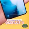 mieng-dan-man-hinh-polime-uv-ppf-uv-zacase-khang-khuan-cao-cap-danh-cho-oneplus-11-5g