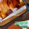 mieng-dan-cuong-luc-man-hinh-oppo-find-x8-x8s-x8-ultra-zacase-all-clear-super-glass-cao-cap