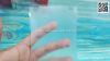 bo-dan-lung-trong-suot-co-vien-iphone-8