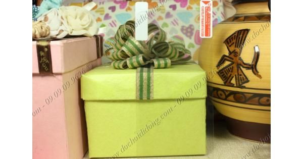 dan-man-hinh-mobiistar-touch-kem-452-dang-trong