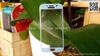 mieng-dan-cuong-luc-samsung-galaxy-a5-2017-9h-full-man-hinh