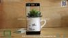 mieng-dan-cuong-luc-sony-xperia-xa-9h-full-man-hinh