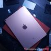 mieng-dan-lung-nham-trong-ipad-pro-10-5-inch