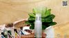 mieng-dan-man-hinh-samsung-galaxy-note-7-iq-shield-full-man-hinh