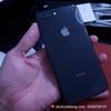 mieng-dan-ppf-rock-iphone-8-plus-trong-nham-doi-mau-cao-cap