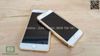 op-lung-iphone-8-plus-vien-nhom-lung-trang-guong