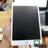 mieng-dan-ppf-hydorgen-ipad-mini-5-trong-nham-cao-cap