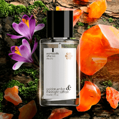 Nước hoa Aromapolis Olfactive Studio Eau de parfum 