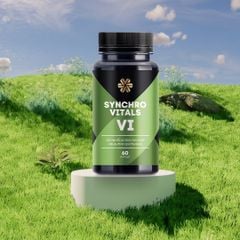 Synchrovitals VI Bảo Vệ, Phục Hồi Sụn Khớp -Thực phẩm bảo vệ sức khỏe Synchrovitals VI Siberian Wellness