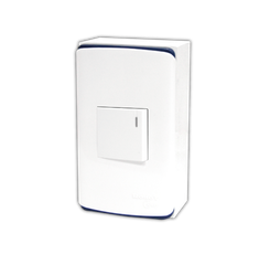 Full set of switch (GW2)