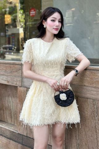 Đầm xòe mini thêu lưới tua rua ngắn tay