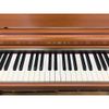 Piano điện Kawai CN28C