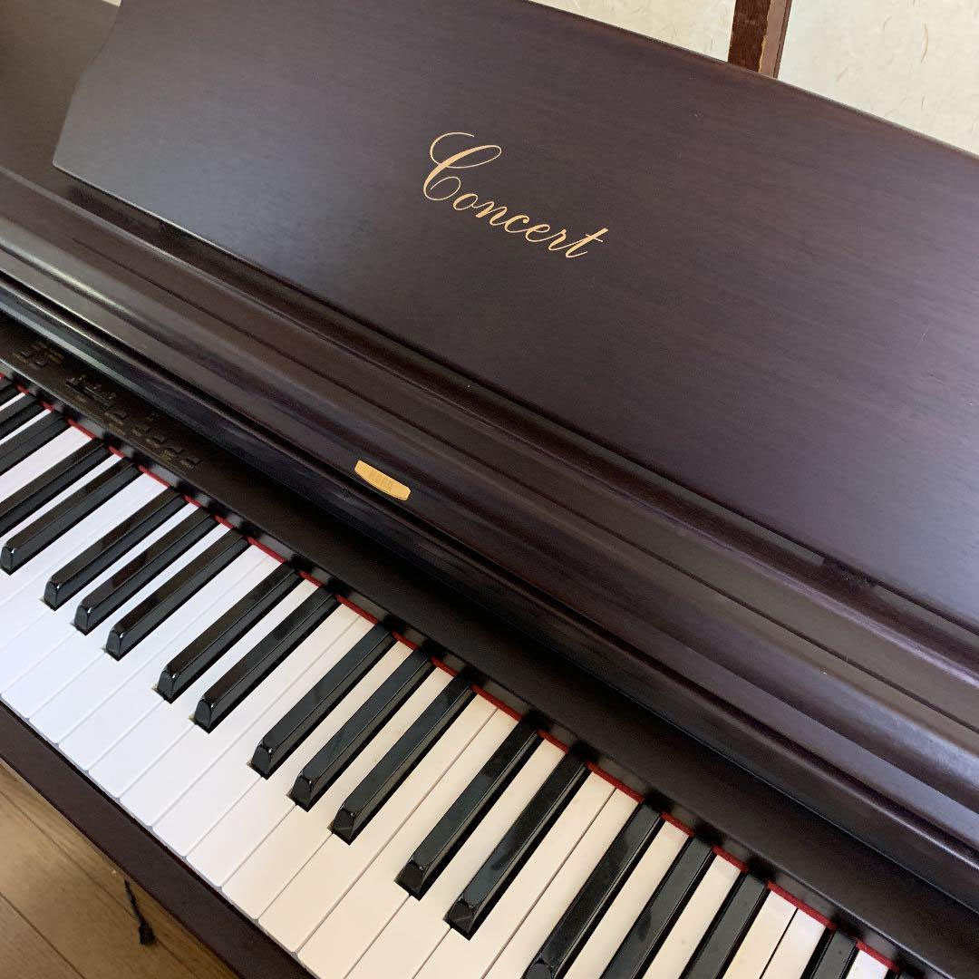 KORG concert Ｃ505（カルゴ） - 家具