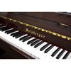 piano cơ Weinberger WB110