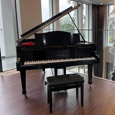 Grand piano Horugel