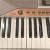 Piano điện Casio PX-110