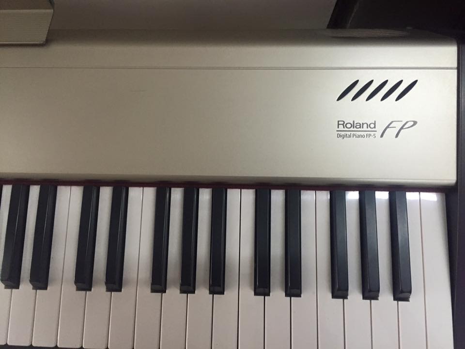 Roland fp5 outlet