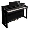 Đàn piano điện Roland HP-307PE