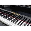 Grand piano Yamaha C7