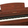 Đàn Piano Yamaha CLP-430M