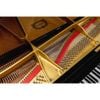 Grand piano Yamaha C7