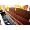 Piano điện Yamaha CLP 230M