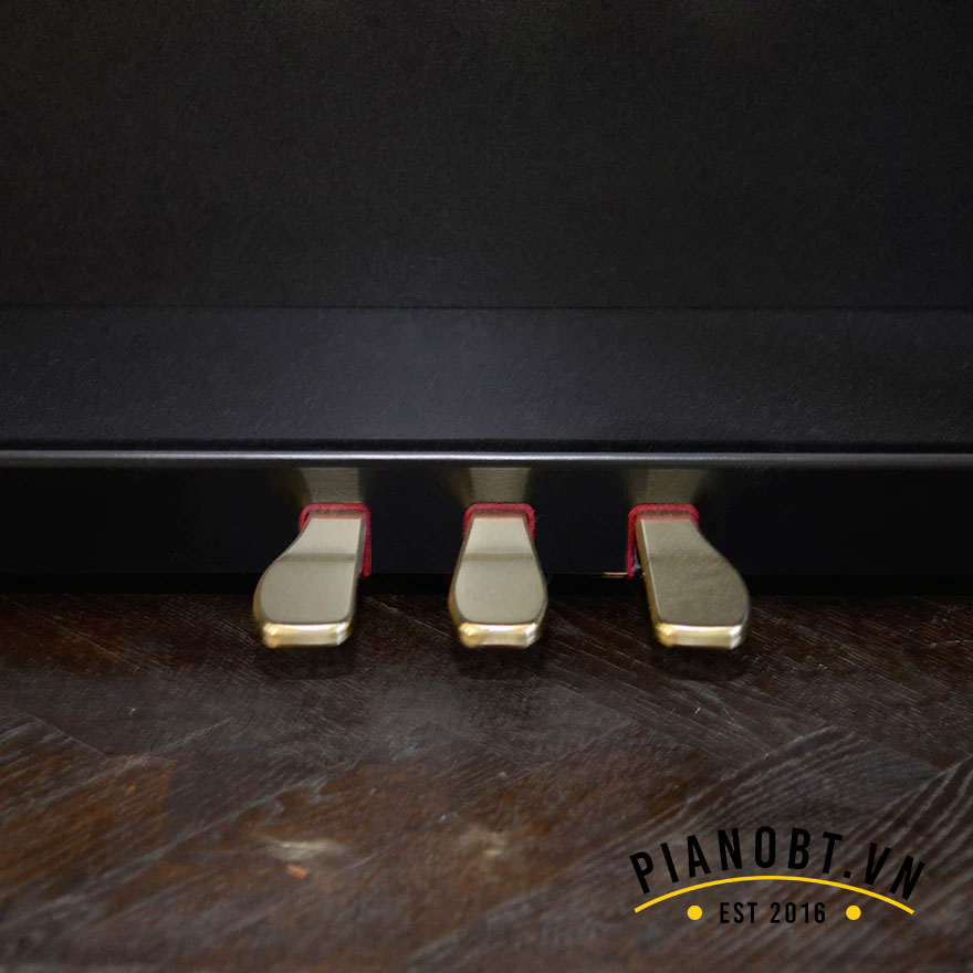 casio celviano ap 40