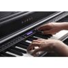 piano điện Kawai CN34B