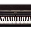 piano điện Roland RP-401