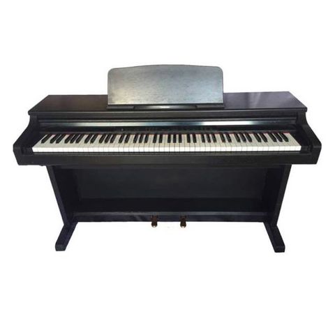 Đàn Piano Điện Technics SX-PX10