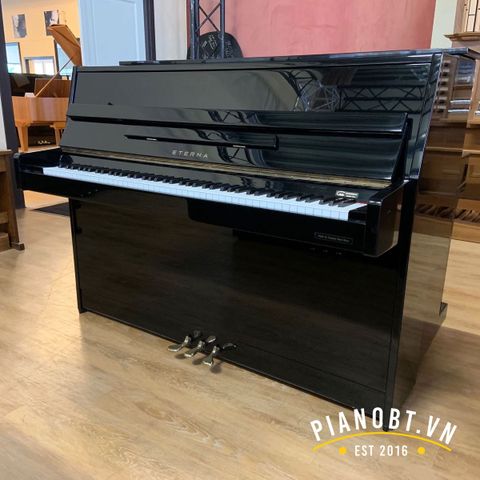 Đàn piano Eterna E20