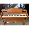 Đàn piano điện Kawai PW9C